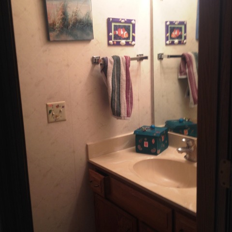 503 Shenandoah Trl, Elgin, IL 60123 photo 17