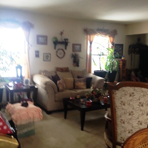 503 Shenandoah Trl, Elgin, IL 60123 photo 13