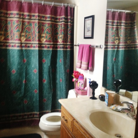503 Shenandoah Trl, Elgin, IL 60123 photo 20