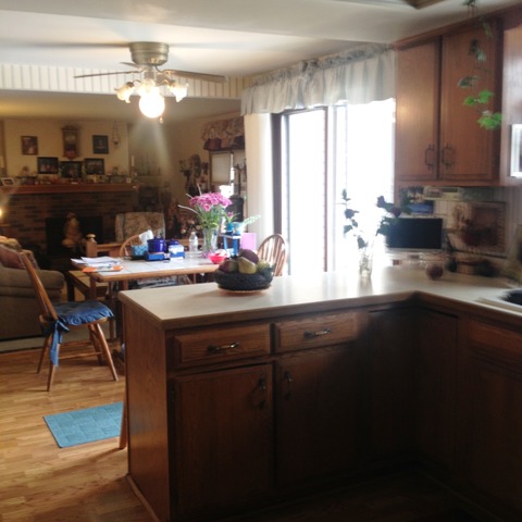 503 Shenandoah Trl, Elgin, IL 60123 photo 6