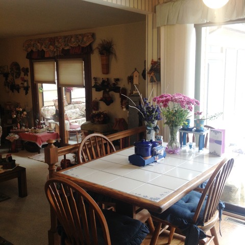 503 Shenandoah Trl, Elgin, IL 60123 photo 7