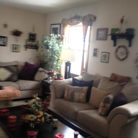 503 Shenandoah Trl, Elgin, IL 60123 photo 14
