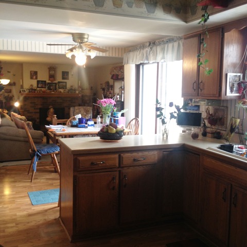 503 Shenandoah Trl, Elgin, IL 60123 photo 5