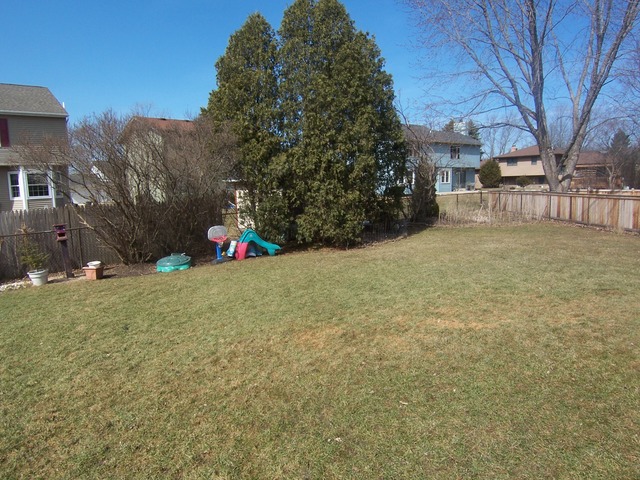 503 Shenandoah Trl, Elgin, IL 60123 photo 4