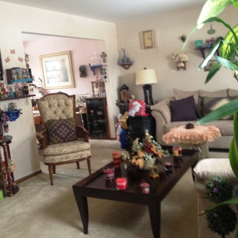 503 Shenandoah Trl, Elgin, IL 60123 photo 15