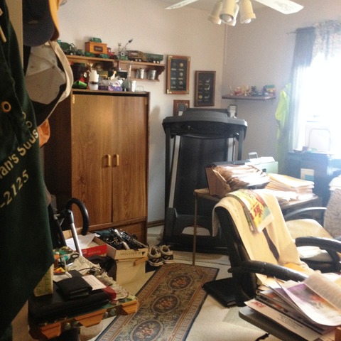 503 Shenandoah Trl, Elgin, IL 60123 photo 18