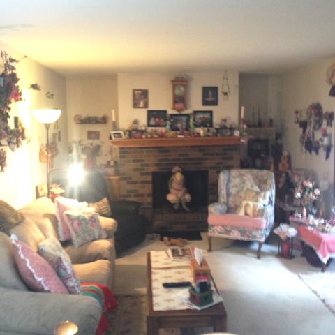 503 Shenandoah Trl, Elgin, IL 60123 photo 8