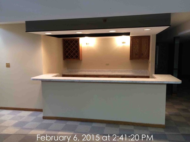 20129 Overland Trl, Olympia Fields, IL 60461 photo 18