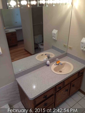 20129 Overland Trl, Olympia Fields, IL 60461 photo 16