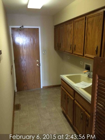 20129 Overland Trl, Olympia Fields, IL 60461 photo 12