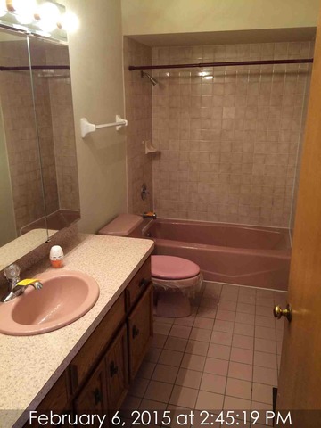 20129 Overland Trl, Olympia Fields, IL 60461 photo 6