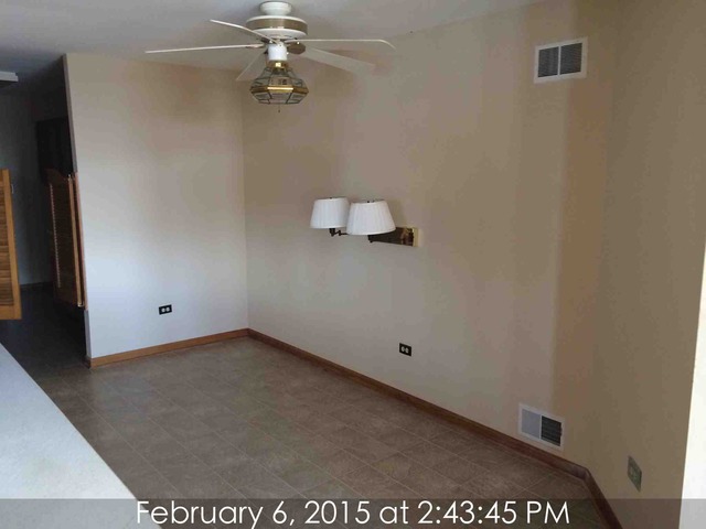 20129 Overland Trl, Olympia Fields, IL 60461 photo 11