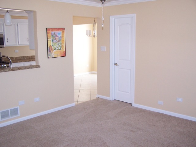 2805 W Douglas St, Joliet, IL 60435 photo 7