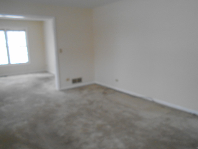705 Canyon Ln, Elgin, IL 60123 photo 20