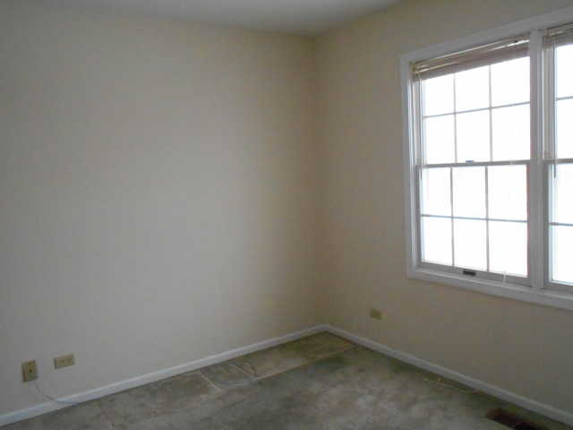 705 Canyon Ln, Elgin, IL 60123 photo 12