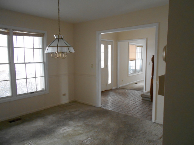 705 Canyon Ln, Elgin, IL 60123 photo 3