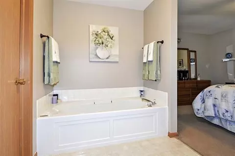 2007 Gray Hawk Dr, Plainfield, IL 60586 photo 20