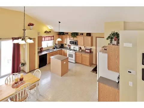2007 Gray Hawk Dr, Plainfield, IL 60586 photo 3
