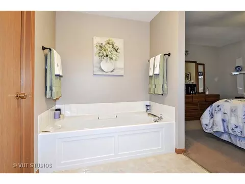 2007 Gray Hawk Dr, Plainfield, IL 60586 photo 10