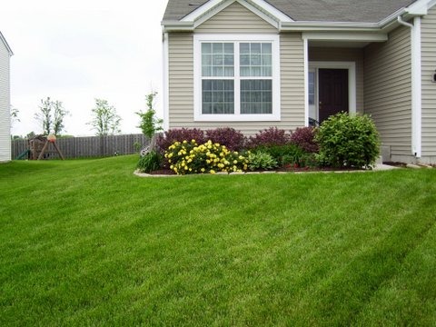 933 Avalon Way, Minooka, IL 60447 photo 2