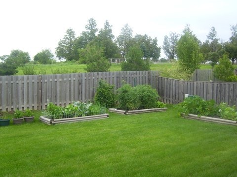 933 Avalon Way, Minooka, IL 60447 photo 21