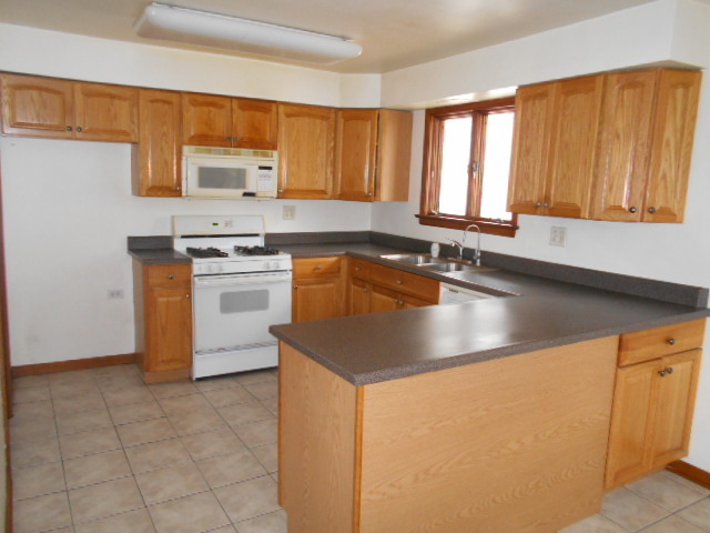 368 N Commonwealth Ave, Elgin, IL 60123 photo 5