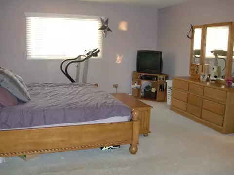 540 Hampton Ln, Roselle, IL 60172 photo 9