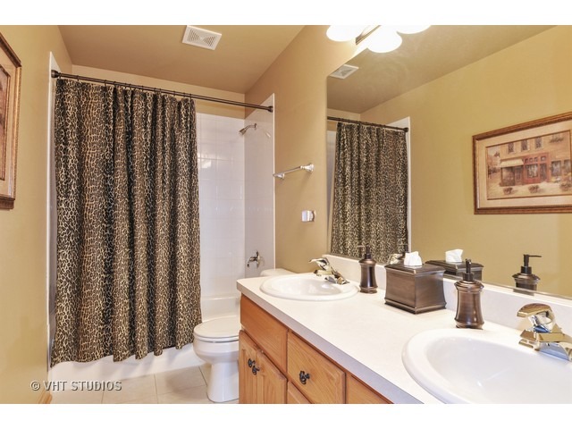 13160 Millbank Dr, Plainfield, IL 60585 photo 13