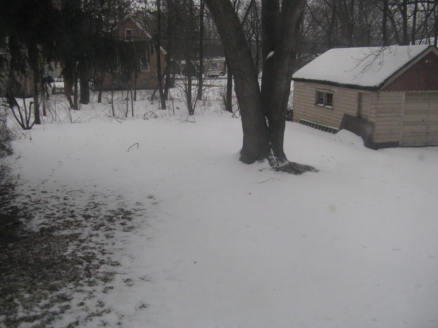16015 Spaulding Ave, Markham, IL 60428 photo 15