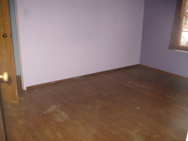 16015 Spaulding Ave, Markham, IL 60428 photo 3