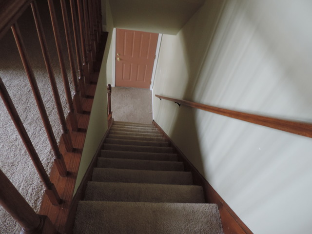1348 S Lorraine Rd #b, Wheaton, IL 60189 photo 10