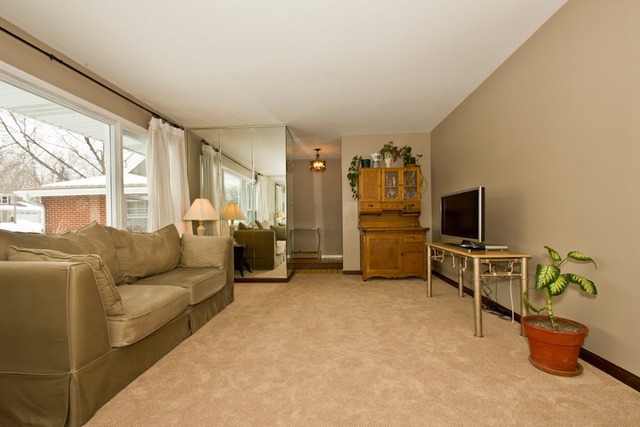 240 80th St, Willowbrook, IL 60527 photo 4