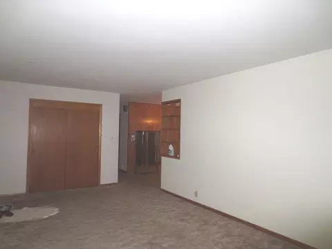 14336 S Silver Ln, Plainfield, IL 60544 photo 3