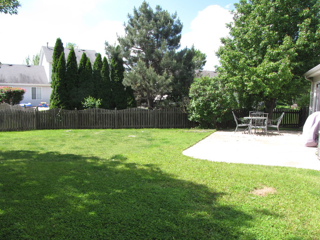 14201 S Manassas Ln, Plainfield, IL 60544 photo 2