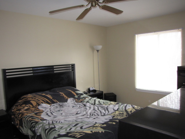 14201 S Manassas Ln, Plainfield, IL 60544 photo 7