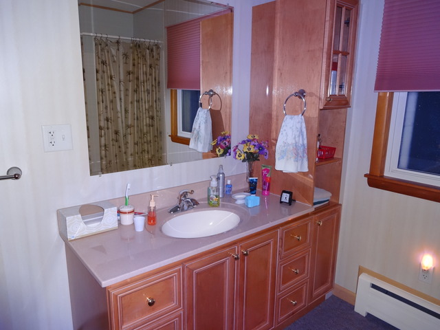 207 W 1st St, Mount Morris, IL 61054 photo 7