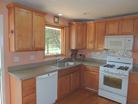 861 E Aster Ave, Palatine, IL 60074 photo 4