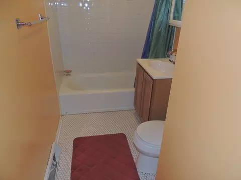 861 E Aster Ave, Palatine, IL 60074 photo 8