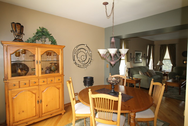 262 Shawnee Cir, Bartlett, IL 60103 photo 5