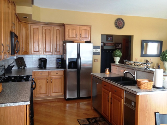 262 Shawnee Cir, Bartlett, IL 60103 photo 4