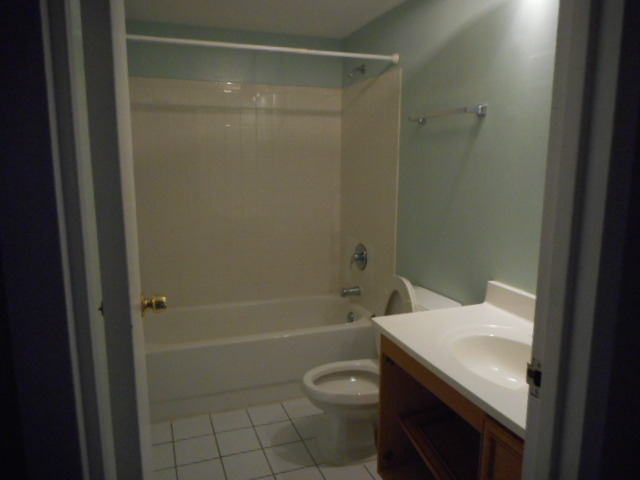 500 Manda Ln #524, Wheeling, IL 60090 photo 8
