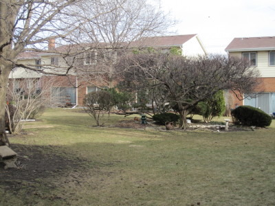 4413 Forest Ave, Brookfield, IL 60513 photo 17