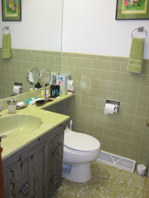 4413 Forest Ave, Brookfield, IL 60513 photo 12
