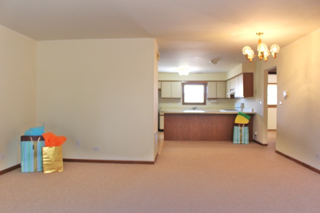 74 Terry Dr, Roselle, IL 60172 photo 2