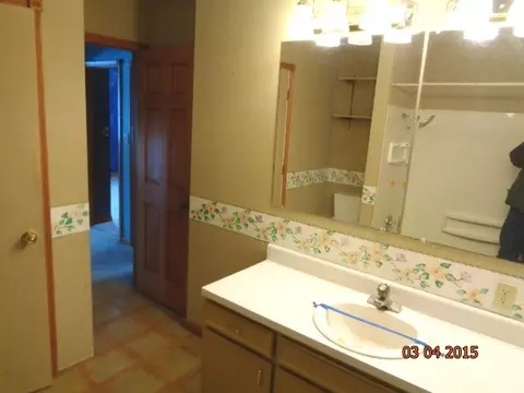 104 Morgan St, Dwight, IL 60420 photo 16
