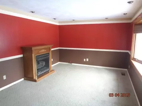 104 Morgan St, Dwight, IL 60420 photo 3