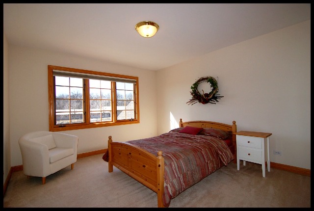 162 Amherst Mdw, Bartlett, IL 60103 photo 21