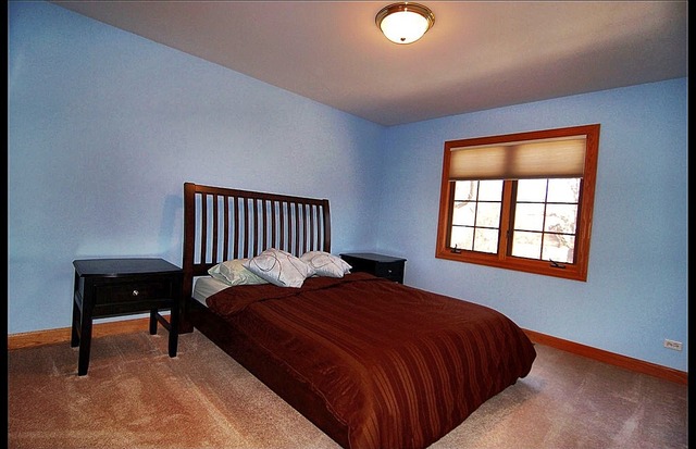 162 Amherst Mdw, Bartlett, IL 60103 photo 19