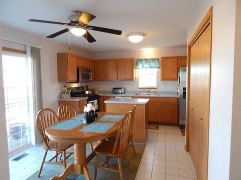25717 S Daffodil Ln, Monee, IL 60449 photo 2
