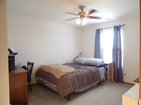 25717 S Daffodil Ln, Monee, IL 60449 photo 14